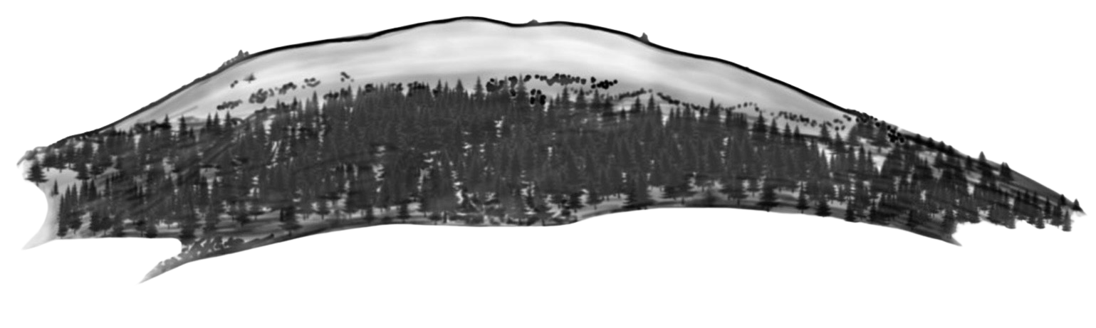 Watermark